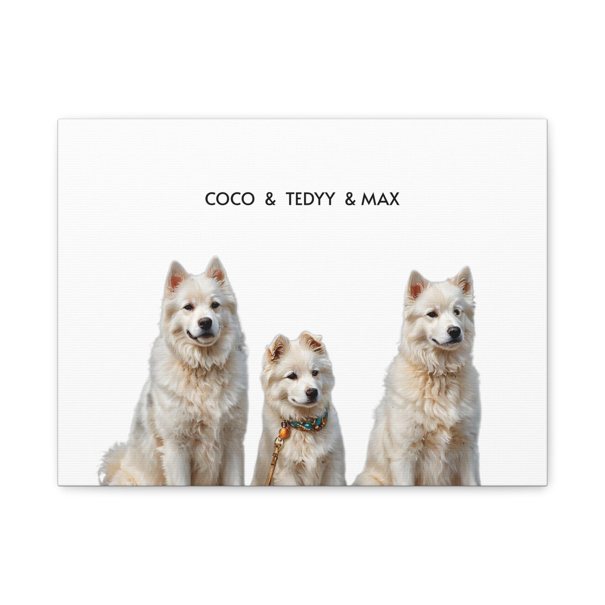 Signature Pet Portrait (Three Pets)